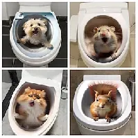 Bilde av 3d kattevalp dyr bad toalett klistremerke, hjemmedekorasjon vegg klistremerke, selvklebende vanntett og oljetett klistremerke