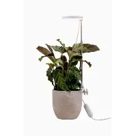 Bilde av AIRAM Rose Plantebelysning 10W Dim med touch Belysning,Akvarie- og vekstlamper