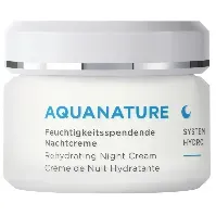 Bilde av Annemarie Börlind - AquaNature System Hydro Rehydrating Night Cream 50 ml - Skjønnhet