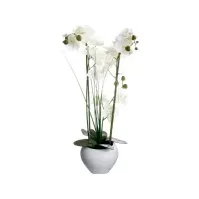 Bilde av Atmosphera Orchid i hvit krukke, 53 cm Hagen - Hagevanning - Krankoblinger & Slangekoblinger