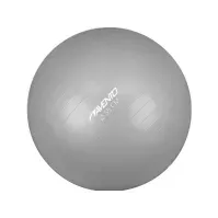 Bilde av Avento Gymnastikkball, 55 cm, sølv (433419) Sport & Trening - Sportsutstyr - Treningsredskaper