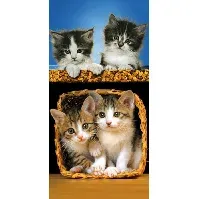 Bilde av Badehåndkle - kattunger - 70x140cm – Lekker og myk kvalitet Håndklær