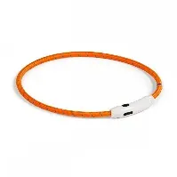Bilde av Basic LED-halsbånd til hund Nylon (Orange) Hund - Hundeutstyr - Hundelys