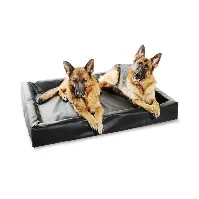 Bilde av Bia Bed Original Hundeseng Svart (120x100x15 cm) Hund - Hundesenger - Senger & Madrasser
