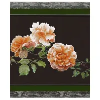 Bilde av Bilde Vakre roser Strikking, pynt, garn og strikkeoppskrifter