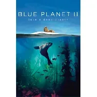 Bilde av Blue Planet II - Blu ray - Filmer og TV-serier