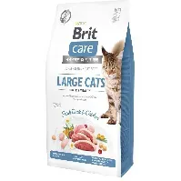 Bilde av Brit Care Cat Grain Free Large Cats Power & Vitality (2 kg) Katt - Kattemat - Kornfri kattemat