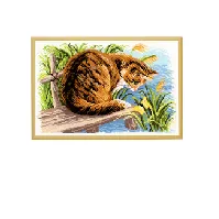 Bilde av Broderipakke Bilde Katten ved elven Strikking, pynt, garn og strikkeoppskrifter