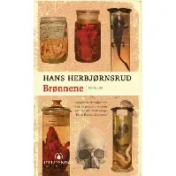 Bilde av Brønnene av Hans Herbjørnsrud - Skjønnlitteratur