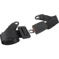 Bilde av Carpoint 2-punkts sikkerhetsbelte, svart, justerbart på 1 side Bilpleie & Bilutstyr - Interiørutstyr - Bilseter