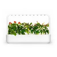 Bilde av Click and Grow - Smart Garden 9 Starter kit (Color: White) (SG9S1UNI) - Hjemme og kjøkken