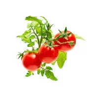 Bilde av Click and Grow - Smart Garden Refill 3-pack - Mini Tomato (SGR5X3) - Hjemme og kjøkken