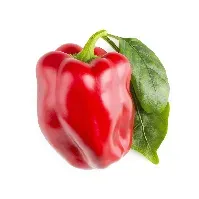 Bilde av Click and Grow - Smart Garden Refill 3-pack Sweet red peppers - Hjemme og kjøkken