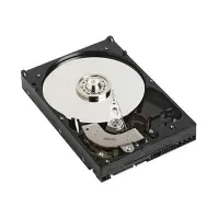 Bilde av Dell - Harddisk - 1 TB - intern - 3.5 - SATA 6Gb/s - 7200 rpm - for Inspiron 32XX, 3650, 3847 OptiPlex 30XX, 7010, 9020 PowerEdge T130 Vostro 32XX PC-Komponenter - Harddisk og lagring - Interne harddisker