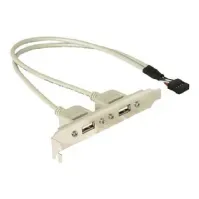 Bilde av Delock - USB-panel - 10-pins USB-kontakt (hann) til USB (hunn) - 30 cm PC-Komponenter - Skap og tilbehør - Tilbehør