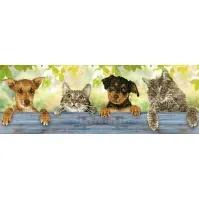 Bilde av Diamond Dotz 81 x 28 cm - Hunde og katte Leker - Kreativitet - Sy, Strikk & Broderi
