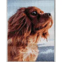 Bilde av Diamond Painting Hund Strikking, pynt, garn og strikkeoppskrifter