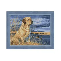 Bilde av Diamond painting Labrador Strikking, pynt, garn og strikkeoppskrifter