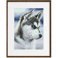 Bilde av Diamond painting Snøhund Strikking, pynt, garn og strikkeoppskrifter
