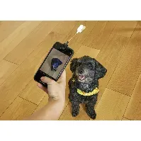 Bilde av Dog Treat Selfie Clip (DIG01) - Gadgets