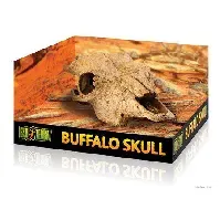 Bilde av EXOTERRA - Cave Buffalo Skull - (222.2057) - Kjæledyr og utstyr