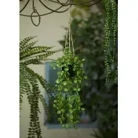 Bilde av Emerald Artificial Ceropegia hengende busk 50 cm i potte - Kunstig flora - Kunstig plante blomst