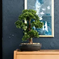 Bilde av Emerald Artificial Ficus Mini Bonsai i brun potte 43 cm - Kunstig flora - Kunstig plante blomst