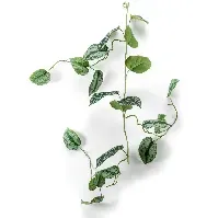 Bilde av Emerald Kunstig Scindapsus Pictus-krans 120 cm - Kunstig flora - Kunstig plante blomst
