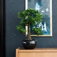Bilde av Emerald Kunstig fiken mini bonsai grønn 47 cm 420006 - Kunstig flora - Kunstig plante blomst