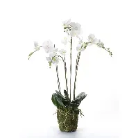 Bilde av Emerald Kunstig orkidé med mose hvit 90 cm 20.355 - Kunstig flora - Kunstig plante blomst