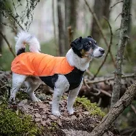 Bilde av Feel Active Drammen Hundegenser Oransje (25 cm) Hund - Hundeklær - Hundegensere