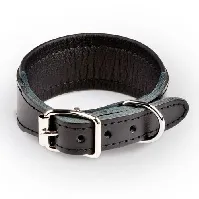 Bilde av Feel Leather Basic Wide Halsbånd Svart (3,5 x 40 cm) Hund - Hundeutstyr - Hundehalsbånd