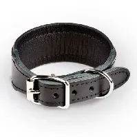 Bilde av Feel Leather Basic Wide Halsbånd Svart (3,5 x 45 cm) Hund - Hundeutstyr - Hundehalsbånd