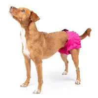 Bilde av FinNero Ballerina Tispetruse Rosa (XL) Hund - Hundehelse - Løpetid & Tispetruser