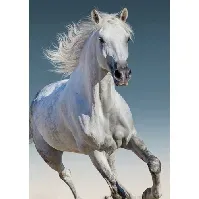 Bilde av Fleece teppe - Horse - 100x140 cm Innredning , Barnerommet , Barnetepper