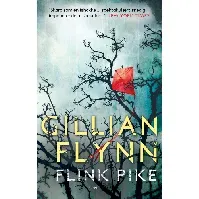 Bilde av Flink pike - En krim og spenningsbok av Gillian Flynn