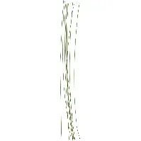 Bilde av Floral stem wire L: 30 cm (610350) - Leker