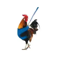 Bilde av Gaun Chicken harness 1 st Kjæledyr - Dyr i hagen - Kyllinger - Tilbehør til kyllinger