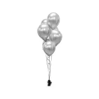 Bilde av GoDan Balloons Beauty & Charm platinum silver 12 / 50 pcs Barn & Bolig - Innredning - Til stuen