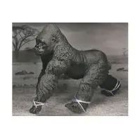 Bilde av Gorilla i åben æske 18x11x11,5cm Utendørs lek - El & Bensinkjøretøy - Reservedeler