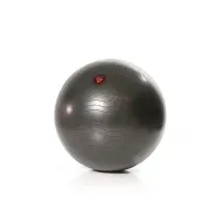 Bilde av Gymstick Exercise Ball, 55 cm Sport & Trening - Sportsutstyr - Fitness