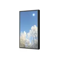 Bilde av HI-ND Wall Casing PROTECT 75 Portrait - Monteringssett (hylster) - for LCD-skjerm - metall, polykarbonat - svart, RAL 9005 - skjermstørrelse: 75 - monteringsgrensesnitt: inntil 600 x 600 mm - veggmonterbar - for LG 75UH5F-B, 75UH5F-H Samsung QB75B, QB75R-