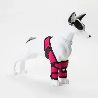 Bilde av Handicap ben og knestøtte for hunder - Rød Bæreseler og support