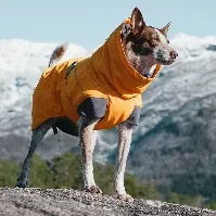 Bilde av Hurtta Expedition Parka Vinterdekken Orange (25 cm) Hund - Hundeklær - Vinterdekken hund