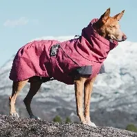 Bilde av Hurtta Expedition Parkas Rød (25 cm) Hund - Hundeklær - Vinterdekken hund