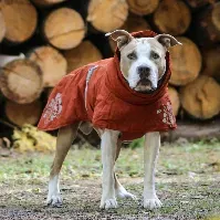 Bilde av Hurtta Extreme Warmer ECO Hundejakke Rødbrun (25 cm) Hund - Hundeklær - Vinterdekken hund