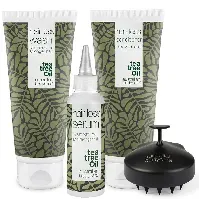 Bilde av Hårtapspakken: 4 produkter mot hårtap, uttynning og skadet hår