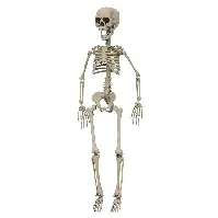 Bilde av Joker - Halloween - Skeleton 76 cm (90091) - Leker