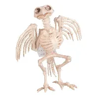 Bilde av Joker - Halloween - Skeleton Bird (15 cm) (97060) - Leker