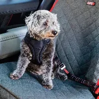 Bilde av KONG Deluxe Swivel Feste til Bilsele Hund Hund - Hundebur - Bilbelte hund